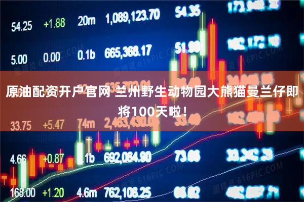 原油配资开户官网 兰州野生动物园大熊猫曼兰仔即将100天啦！